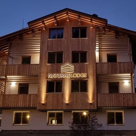 Naturae Lodge Wellness & Spa Alleghe Eksteriør billede