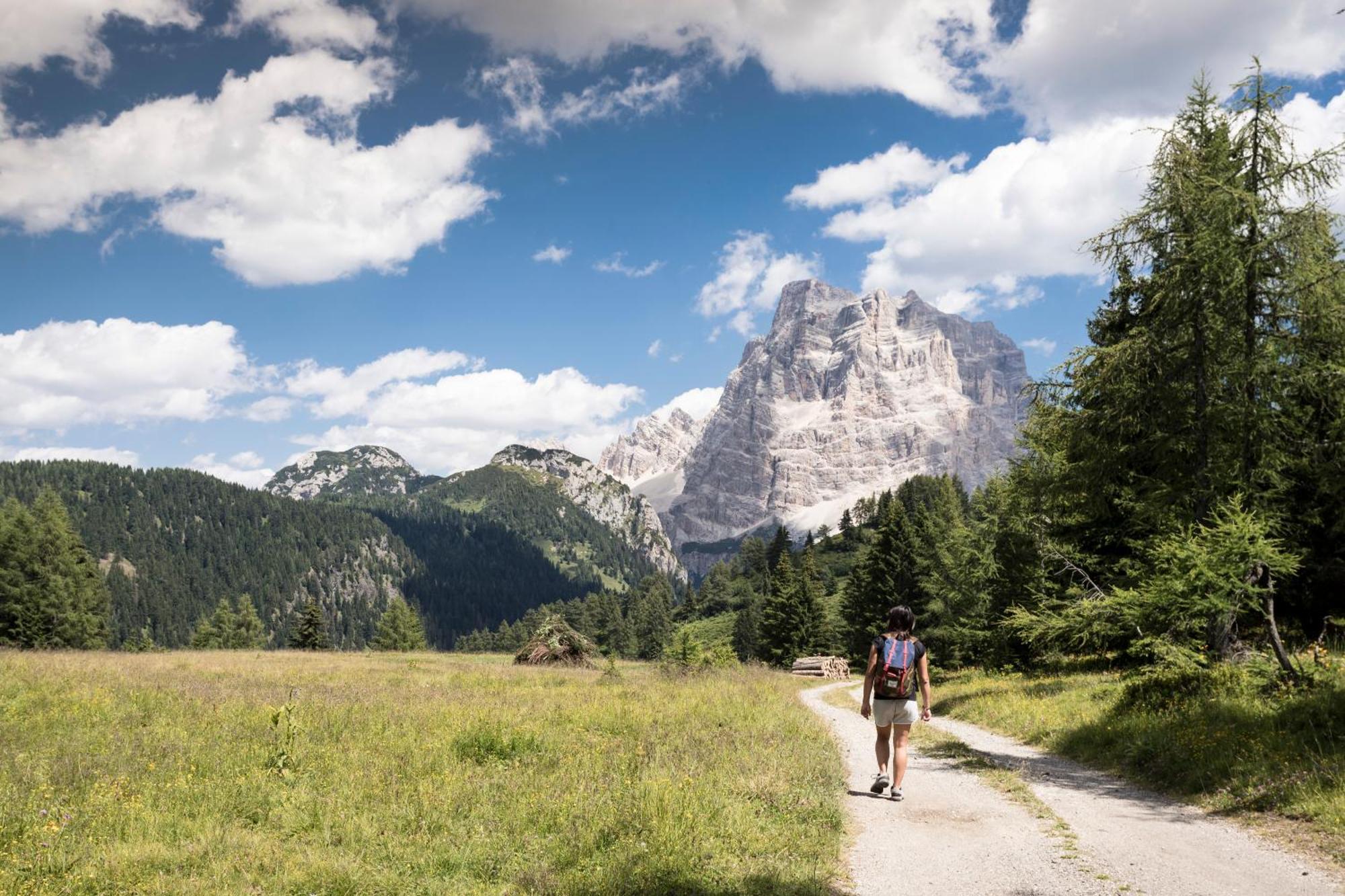Naturae Lodge Wellness & Spa Alleghe Eksteriør billede