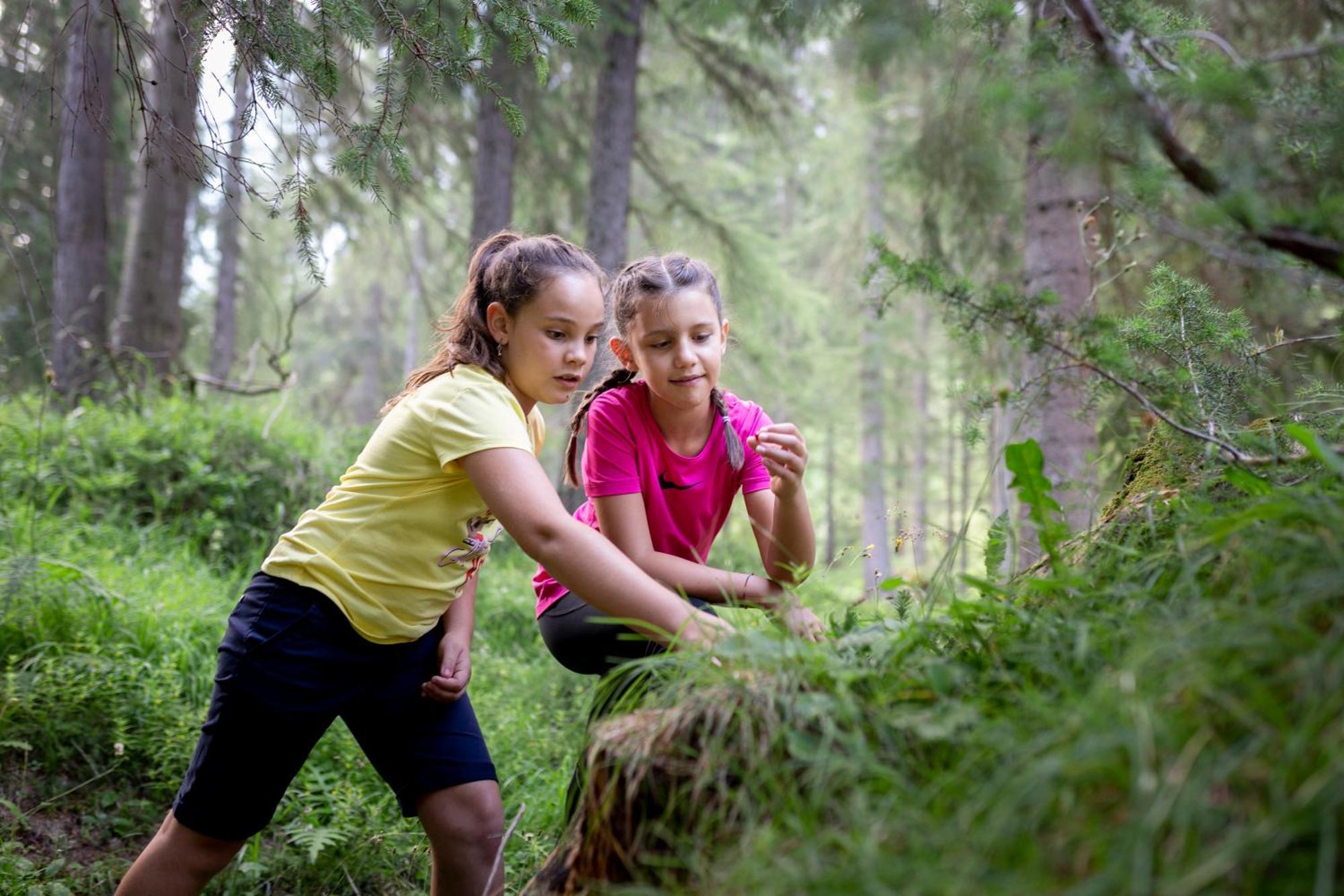 Naturae Lodge Wellness & Spa Alleghe Eksteriør billede