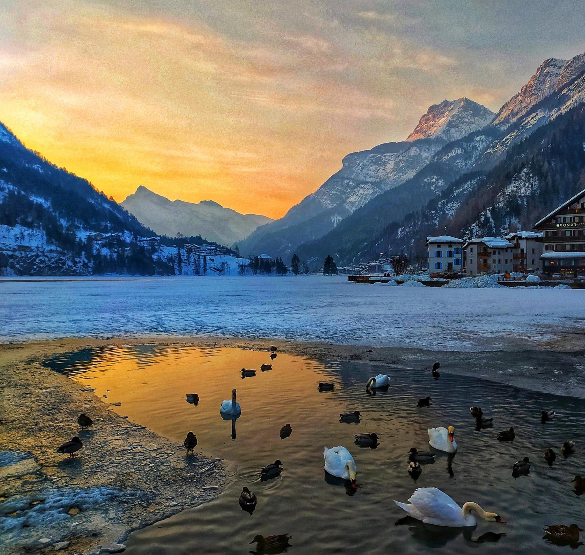 Naturae Lodge Wellness & Spa Alleghe Eksteriør billede